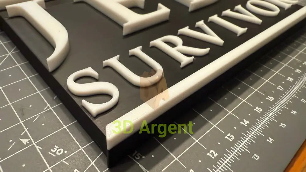 Jedi Survivor Star Wars - 3D Printed Sign Stand Collectables:Science Fiction Collectables:Other Science Fiction Items