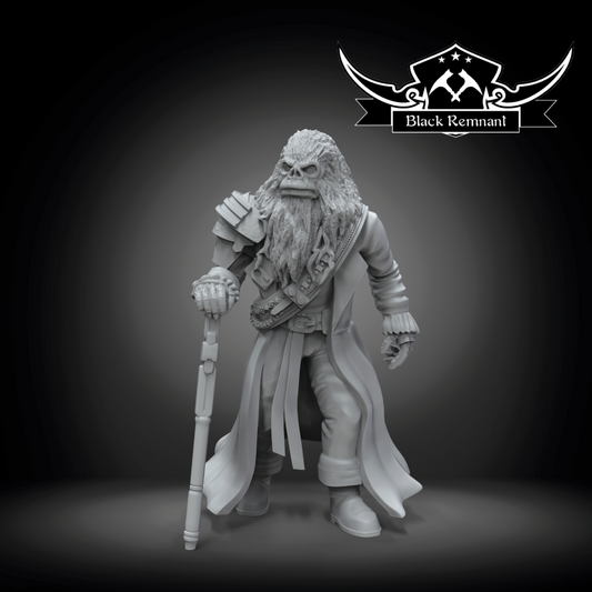 Gorian Shard Pirate King Star Wars Legion compatible 3D Printed Resin Miniatures