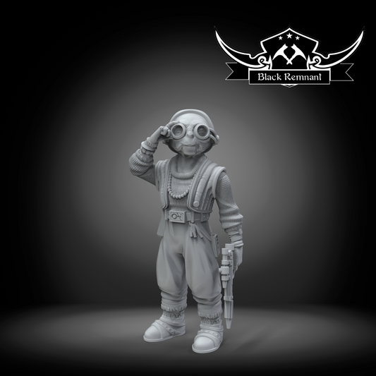 Maz Kanata  Star Wars Legion compatible 3D Printed Resin Miniatures