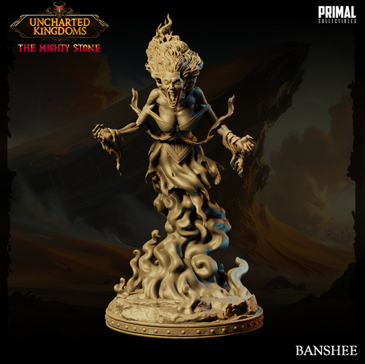 Banshee Fantasy compatible D&D DragonLance Miniatures Primal