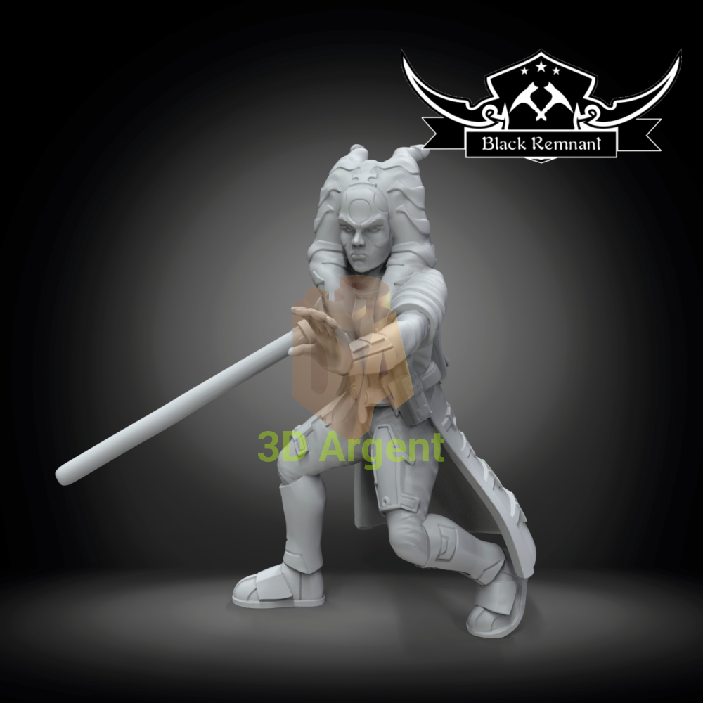 Ashara Zavros RPG - Star Wars Legion compatible Resin Miniatures Toys & Games:Wargames & Role-Playing:Star Wars