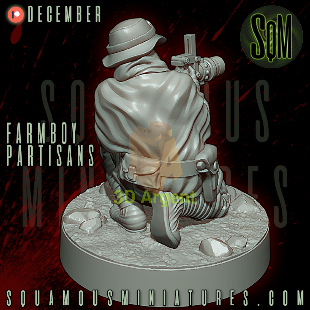 Farmboy Partisans Star Wars Legion compatible 3D Resin Miniatures Squamous Toys & Games:Wargames & Role-Playing:Star