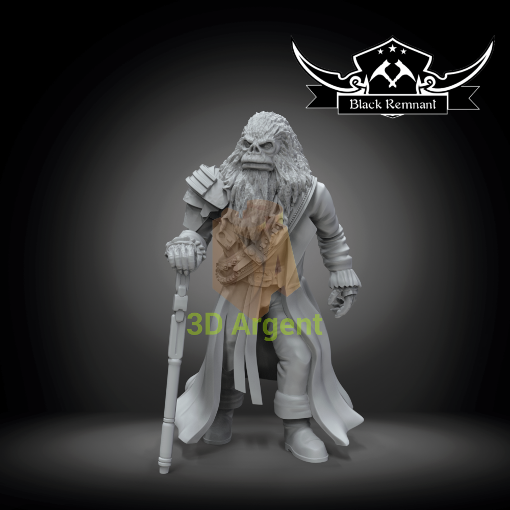 Gorian Shard Pirate King Star Wars Legion compatible 3D Printed Resin Miniatures Toys & Games:Wargames &