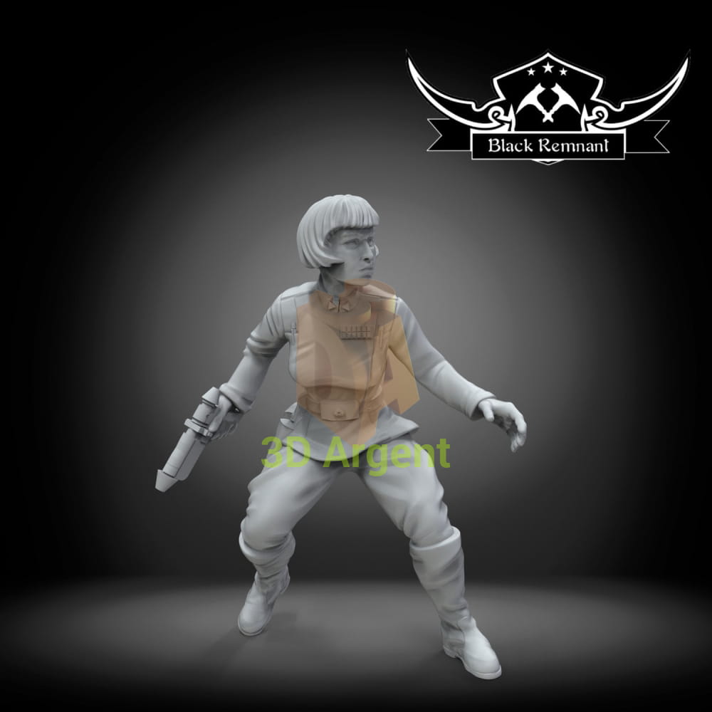 Governor Arynda Pryce - Star Wars Legion compatible 3D Printed Resin Miniatures Toys & Games:Wargames &