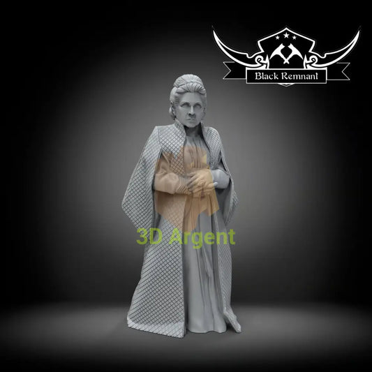 Leia Organa (Older Version) – Star Wars – Black Remnant 3D Printed Resin Miniature Toys & Games:Wargames &