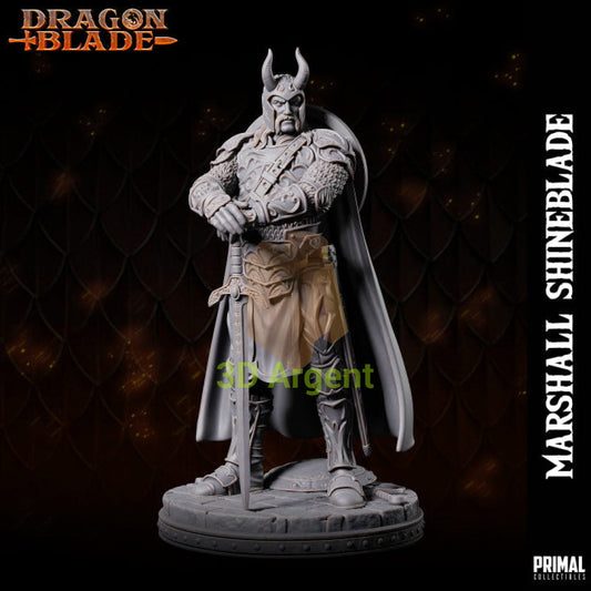 Marshall Shineblade Knight – Dragonblade – Primal Collectibles Resin - Toys & Games:Wargames &