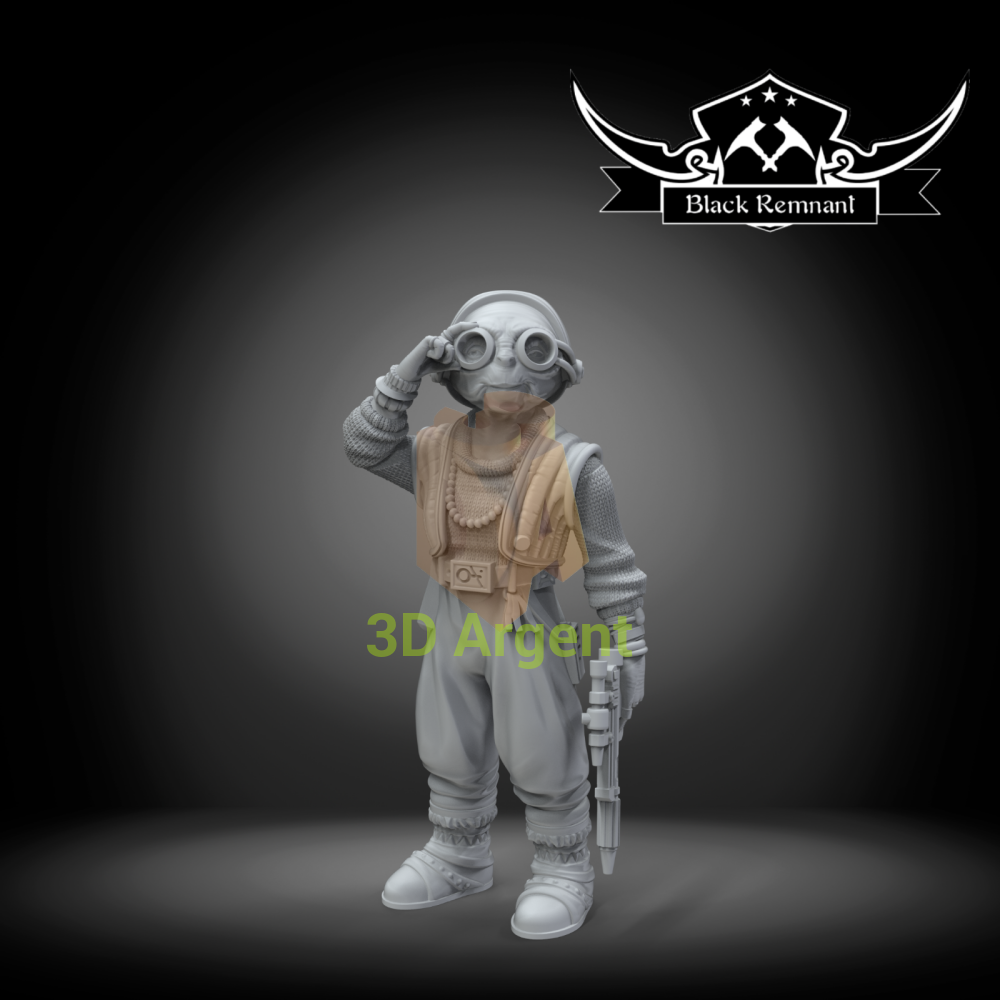 Maz Kanata Star Wars Legion compatible 3D Printed Resin Miniatures Toys & Games:Wargames & Role-Playing:Star Wars