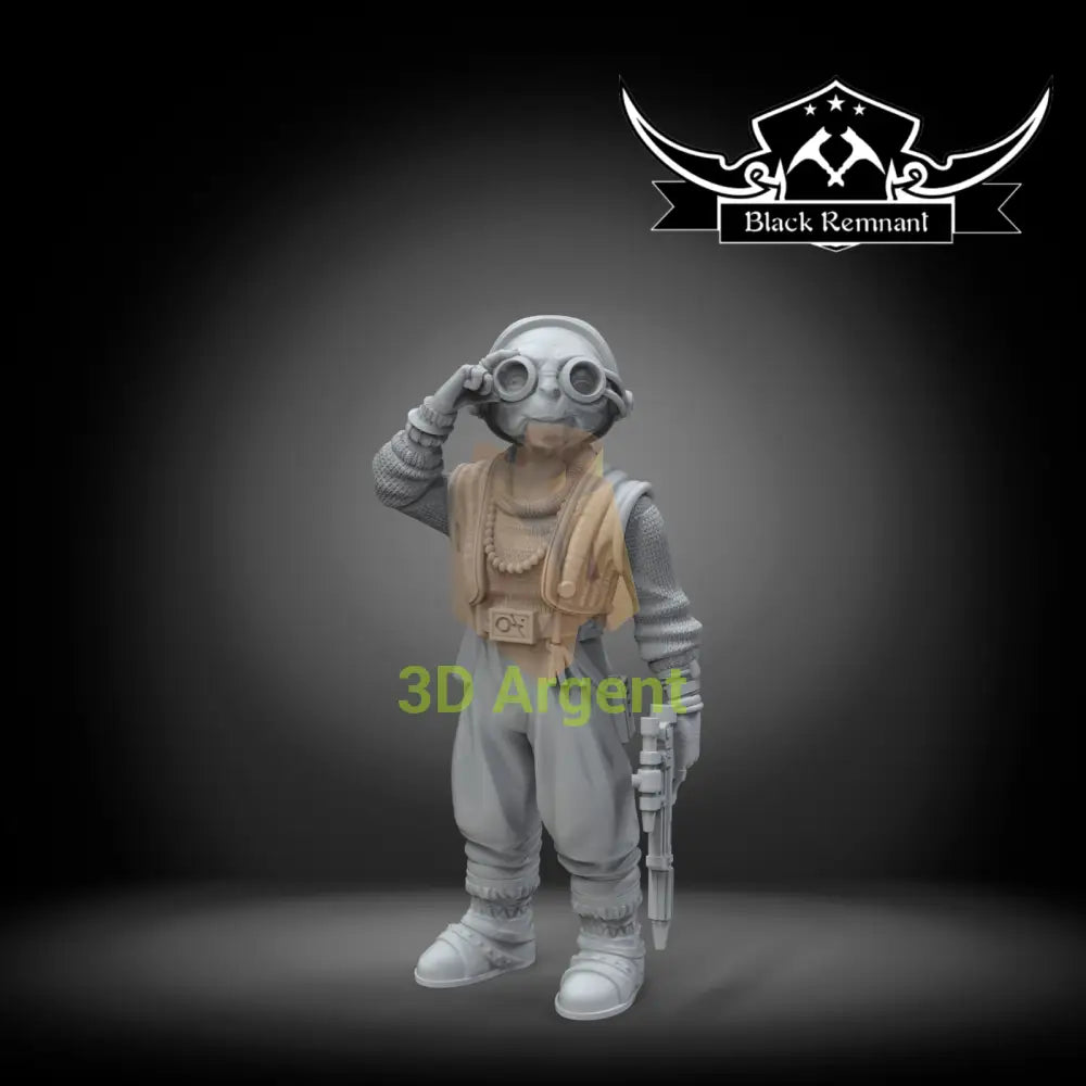 Maz Kanata Star Wars Legion compatible 3D Printed Resin Miniatures Toys & Games:Wargames & Role-Playing:Star Wars