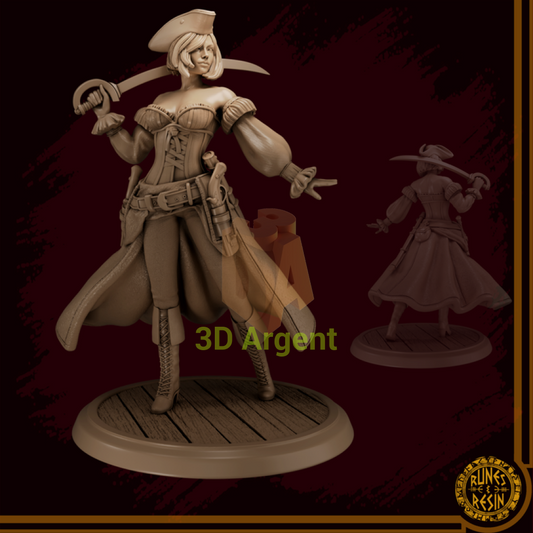 Nica Rowin - Pirate of the Ridiculous Resin Sea - Runes & Resin Miniature - Toys & Games:Wargames &