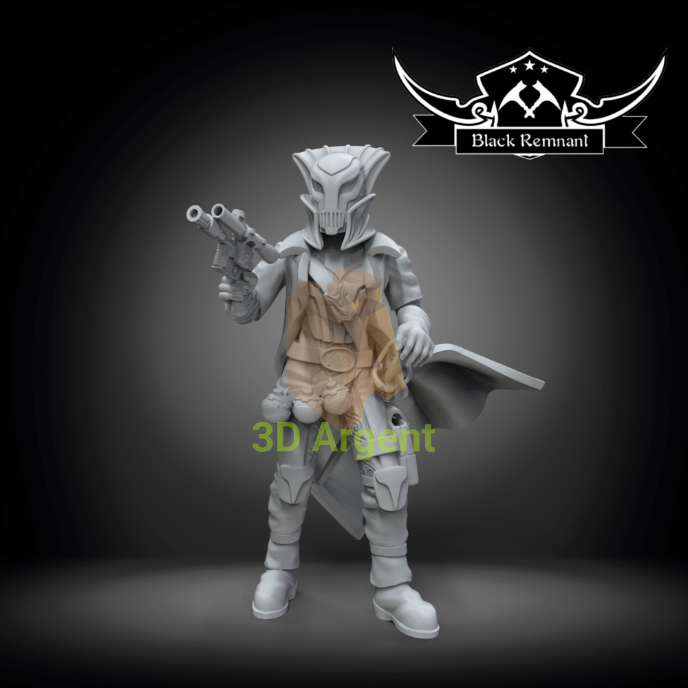 Pirate queen Noira- Star Wars Legion compatible 3D Printed Resin Miniatures Toys & Games:Wargames & Role-Playing:Star