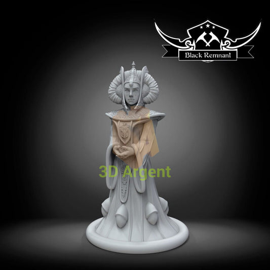 Queen Amidala - Star Wars Legion compatible 3D Printed Resin Miniature Toys & Games:Wargames & Role-Playing:Star Wars