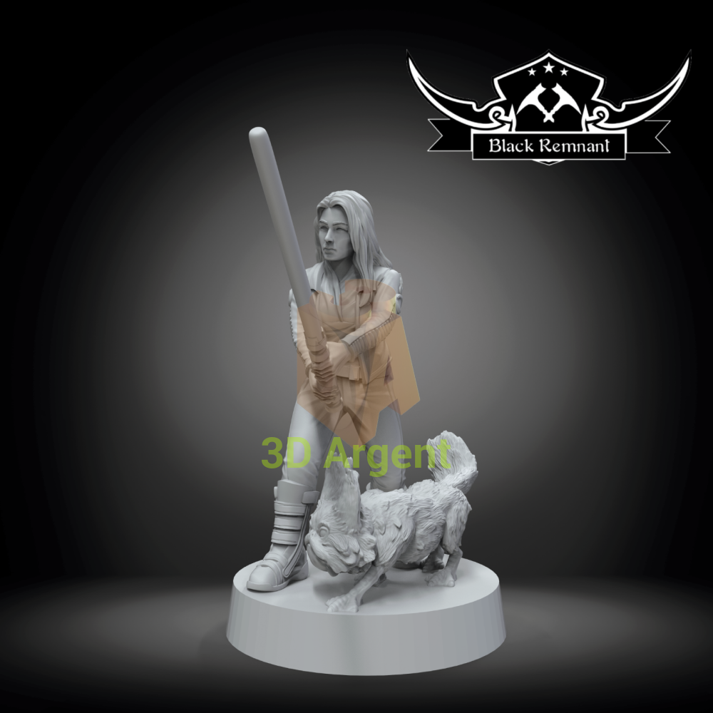 Sabine Wren and Lothcat Star Wars Legion compatible 3D Printed Resin Miniatures Toys & Games:Wargames &