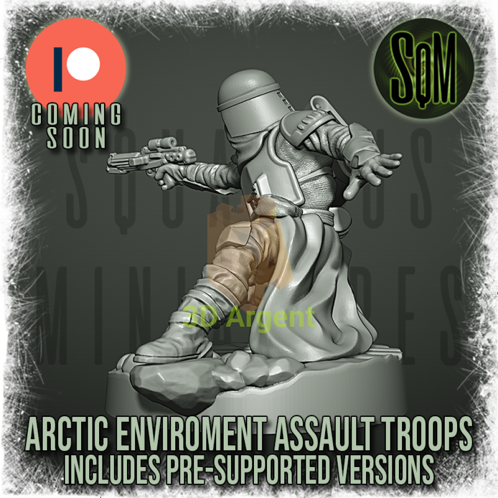 Snow Trooper Squad 12x Star Wars Legion compatible 3D Resin Miniatures Squamous Toys & Games:Wargames &