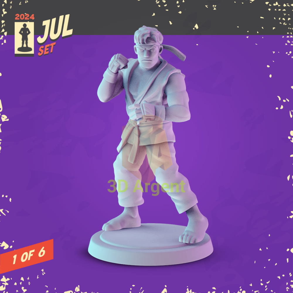 Street Fighter Miniatures – Ryu Chun-Li Guile Sagat Zangief Balrog 32 mm Resin Figures 3 Ryu Toys & Games:Wargames &