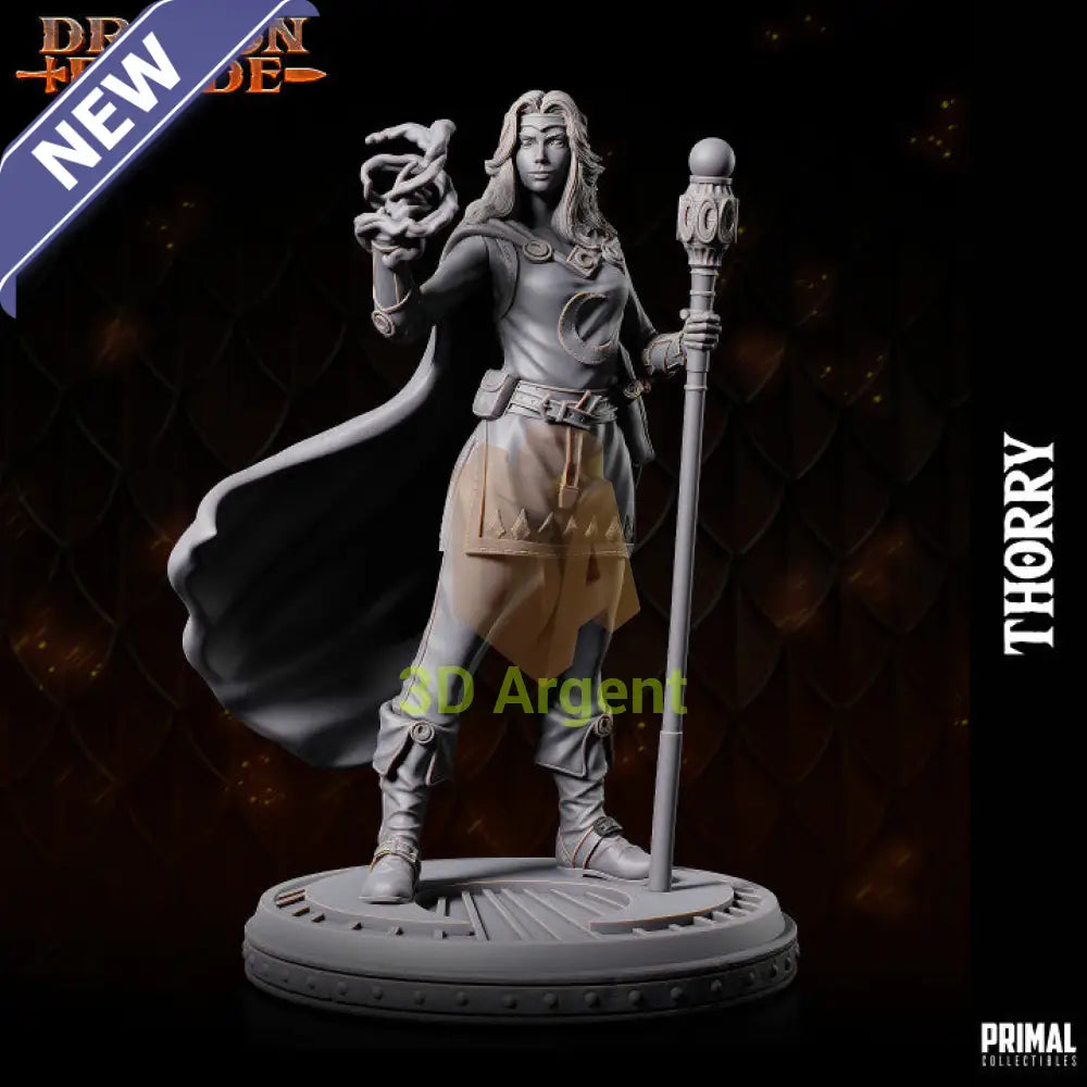 Thorry Female Wizard – Dragonblade – Primal Collectibles Resin Mini - Toys & Games:Wargames &