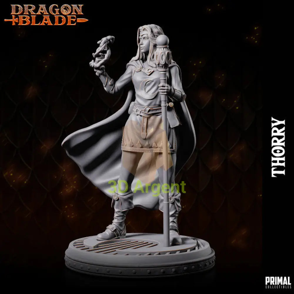 Thorry Female Wizard – Dragonblade – Primal Collectibles Resin Mini - Toys & Games:Wargames &