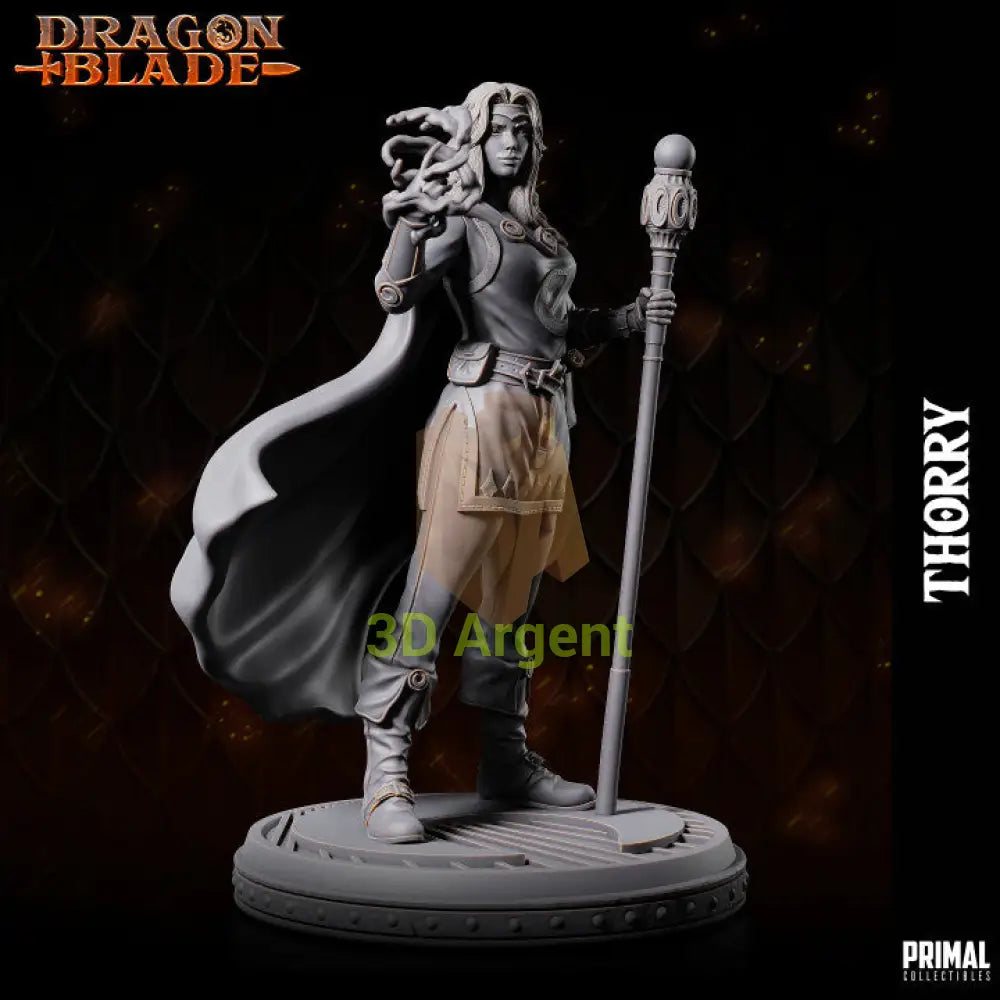 Thorry Female Wizard – Dragonblade – Primal Collectibles Resin Mini - Toys & Games:Wargames &