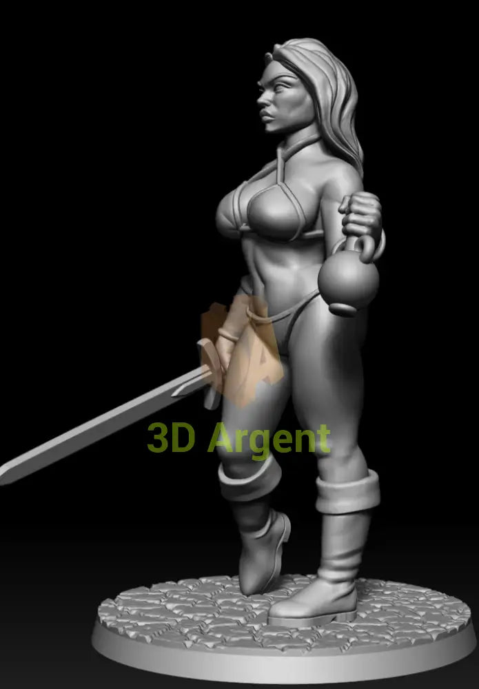 Tyris Flare Tribute – Golden Axe Style – 3D Printed Resin Miniature - Toys & Games:Wargames &