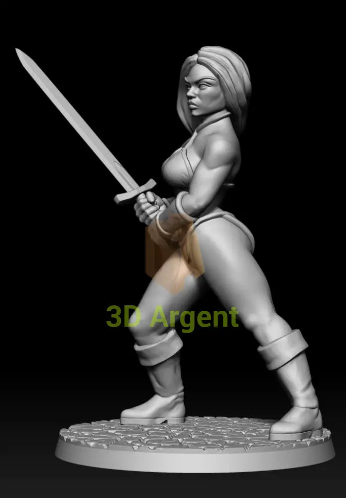 Tyris Flare Tribute – Golden Axe Style – 3D Printed Resin Miniature - Toys & Games:Wargames &