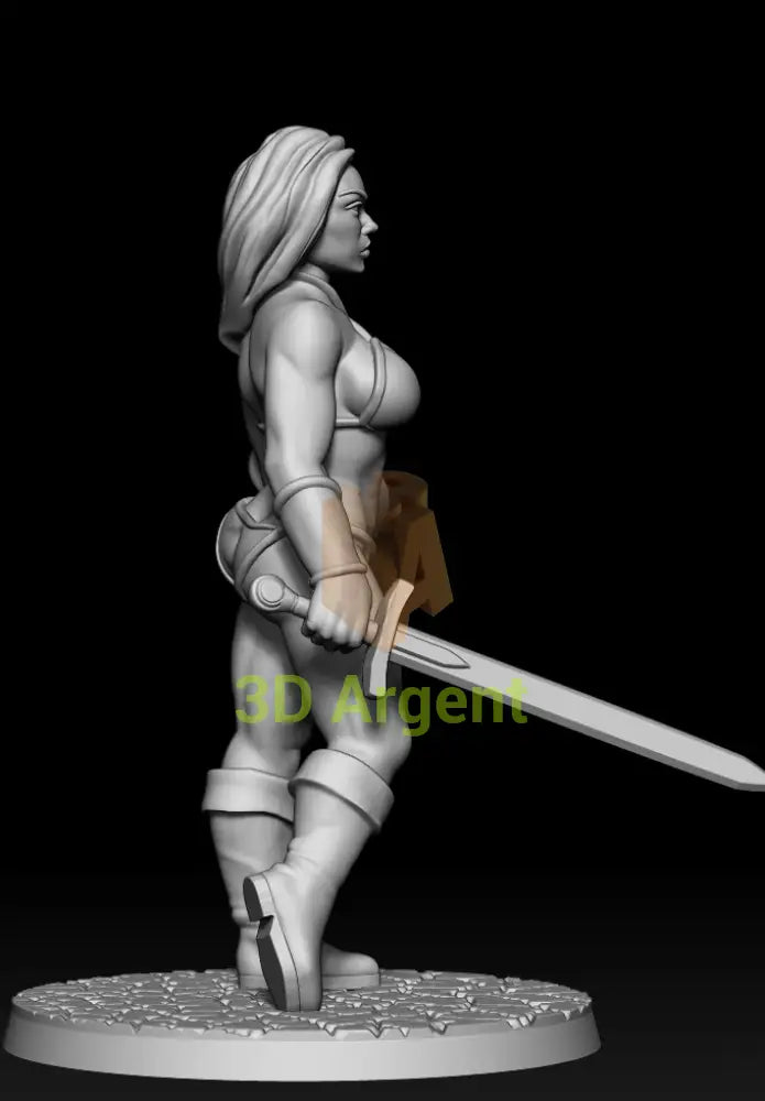 Tyris Flare Tribute – Golden Axe Style – 3D Printed Resin Miniature - Toys & Games:Wargames &