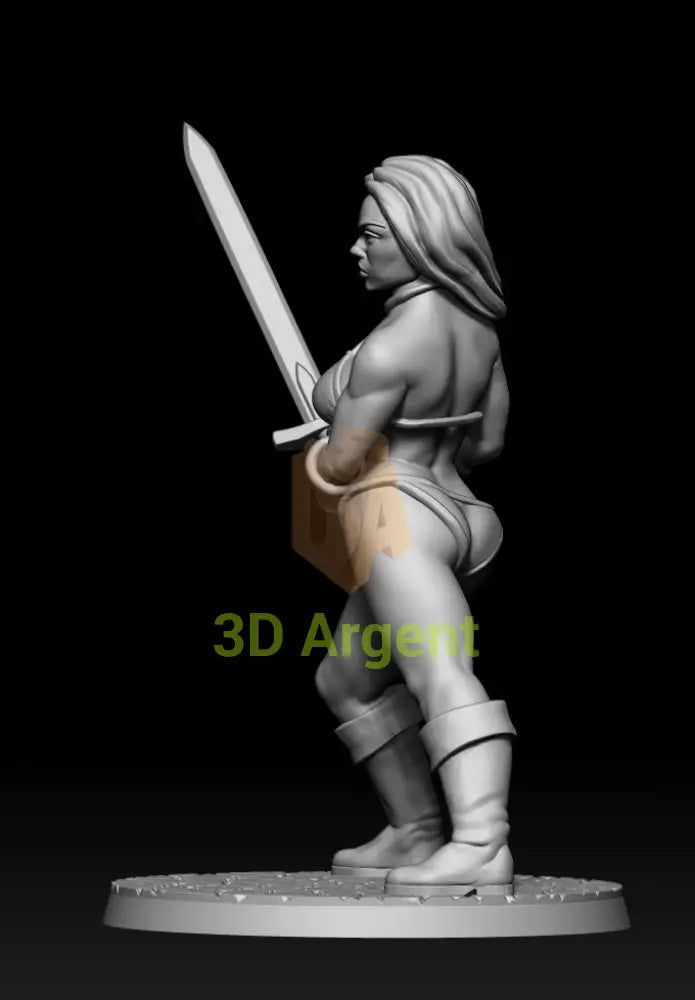 Tyris Flare Tribute – Golden Axe Style – 3D Printed Resin Miniature - Toys & Games:Wargames &
