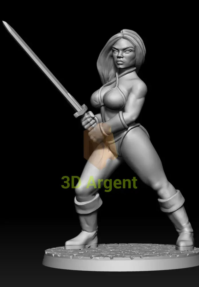 Tyris Flare Tribute – Golden Axe Style – 3D Printed Resin Miniature - Toys & Games:Wargames &