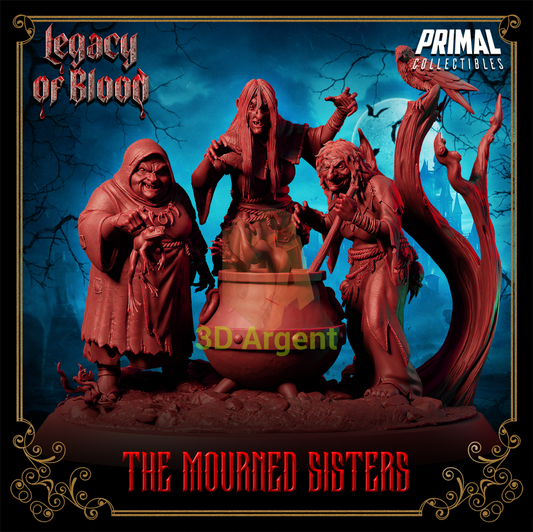 Witches - The Mourned Sisters Fantasy compatible D&D DragonLance Miniatures Primal Toys & Games:Wargames &