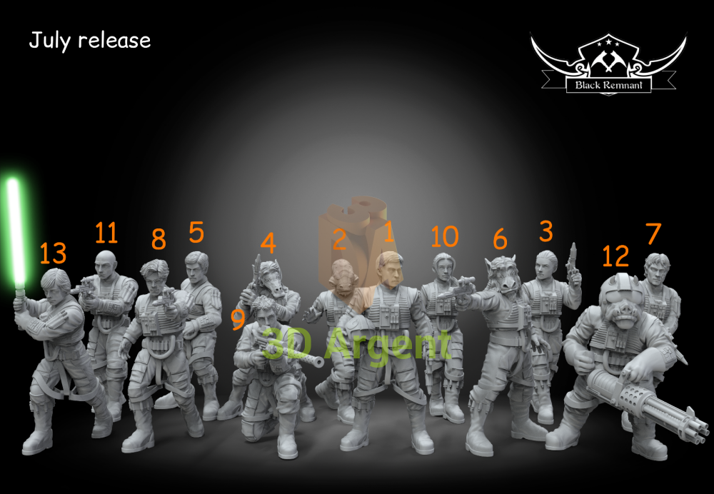 Wraith Squadron - Star Wars Legion compatible 3D Printed Resin Miniatures 1. Wraith One/ Leader: Commander Wedge
